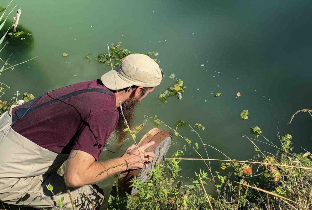 Eduardo García buscando ejemplares de Corbicula en la orilla del río Ebro