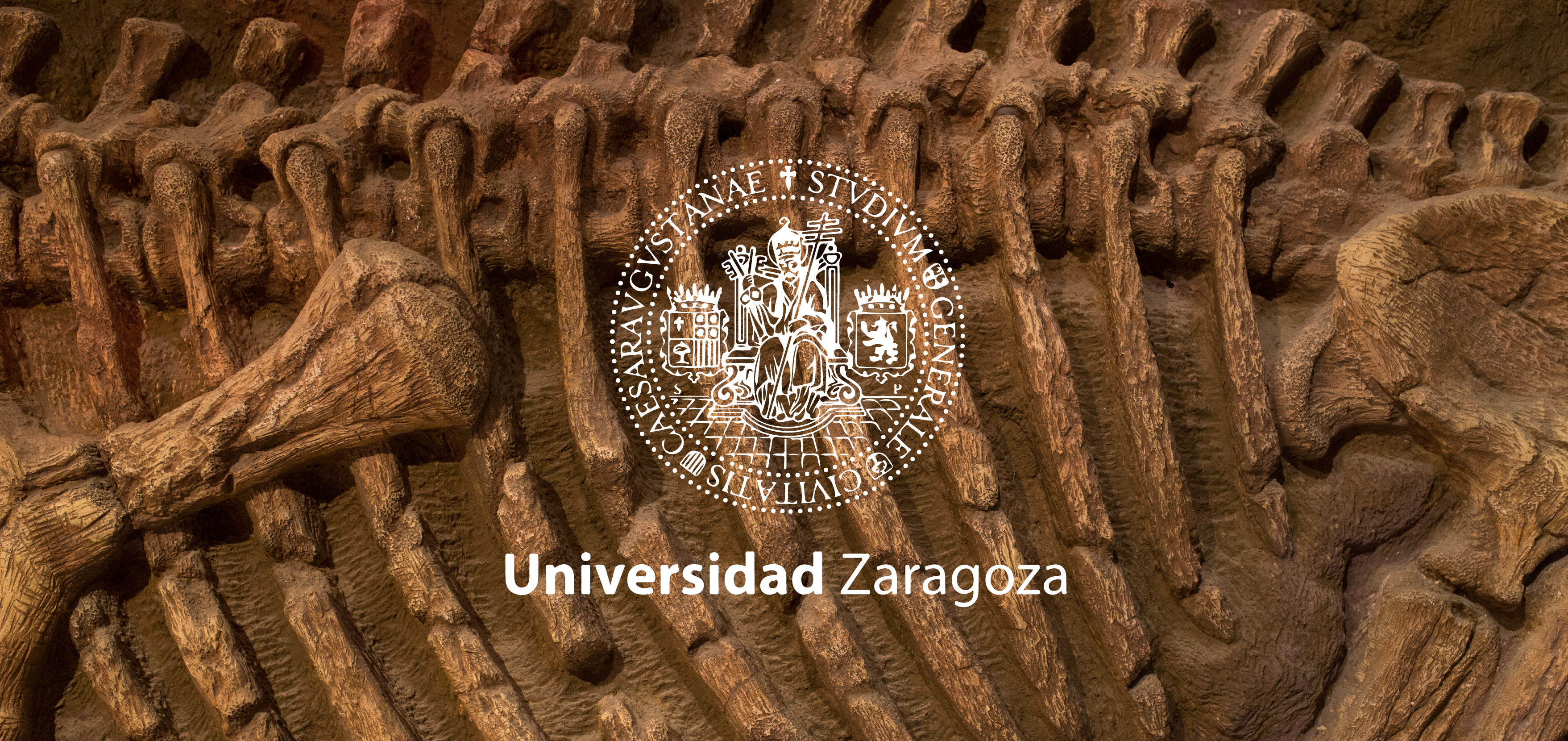 Logotipo de la Universidad de Paleoymás sobre imagen de costillas de un dinosaurio