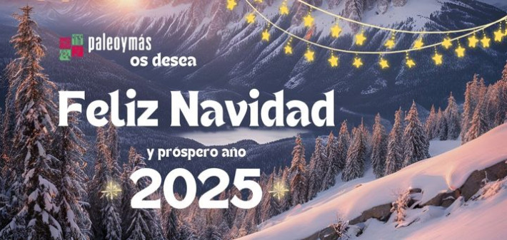 Navidad 2024_Paleoymas