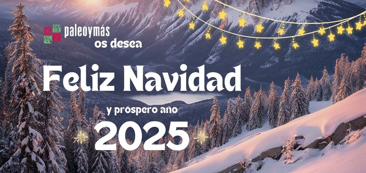 Navidad 2024_Paleoymas